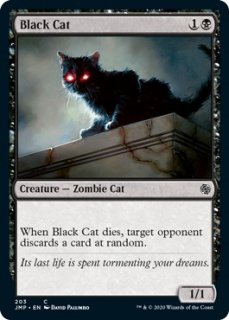 ǭ/Black Cat