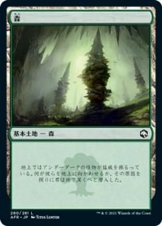 /Forest