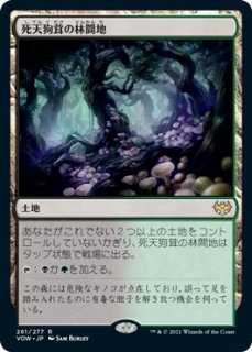 嵐削りの海岸/Stormcarved Coast - マジック：ザ・ギャザリング（MTG