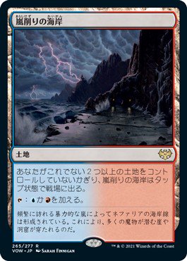 嵐削りの海岸/Stormcarved Coast - マジック：ザ・ギャザリング（MTG