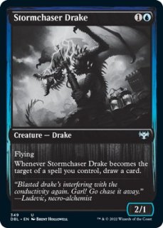 ɤΥɥ쥤/Stormchaser Drake