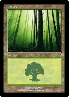 森/Forest