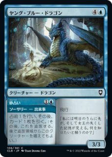 󥰡֥롼ɥ饴/Young Blue Dragon
