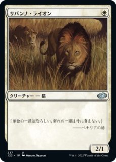 Хʡ饤/Savannah Lions