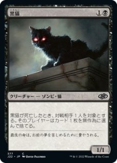 ǭ/Black Cat