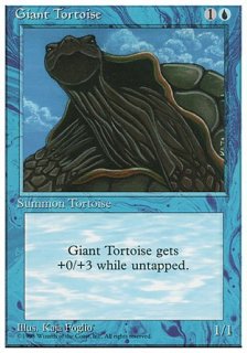 象亀/Giant Tortoise