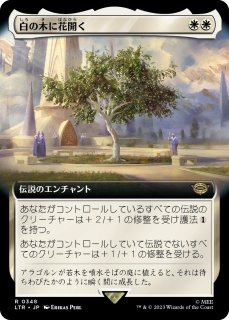 ڤ˲ֳ/Flowering of the White Tree