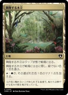 δΩ/Thriving Grove