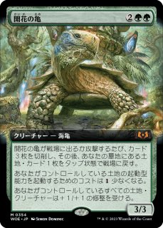 開花の亀/Blossoming Tortoise