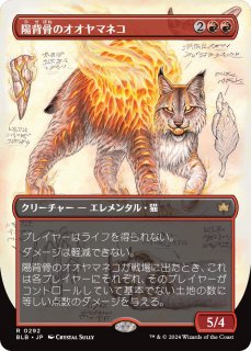 عΥޥͥ/Sunspine Lynx