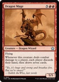 ɥ饴ƻ/Dragon Mage