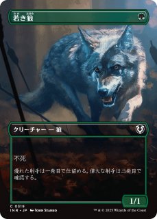 㤭ϵ/Young Wolf