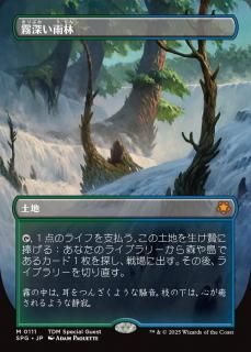 ̸/Misty Rainforest