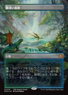 ̸/Misty Rainforest
