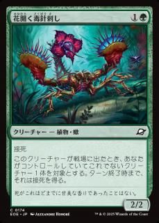 ֳǿ˻ɤ/Blooming Stinger