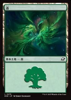 /Forest