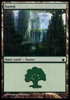 /Forest