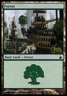 /Forest