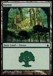 /Forest