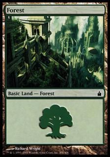 /Forest