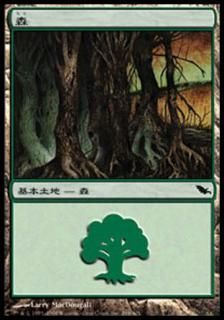 /Forest