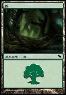 /Forest
