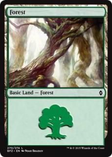 /Forest