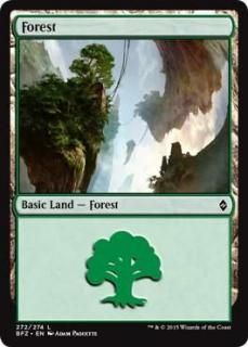 /Forest