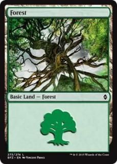 /Forest