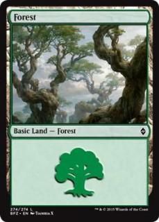/Forest