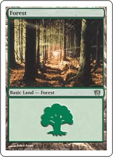 /Forest