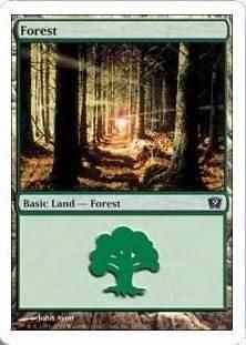 /Forest