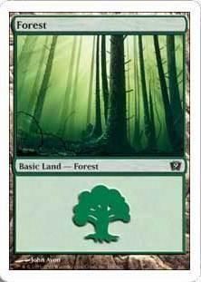 /Forest