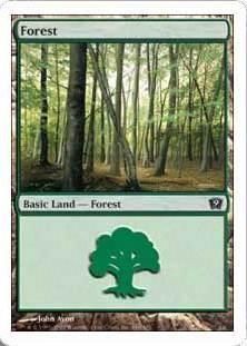 /Forest
