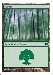 /Forest