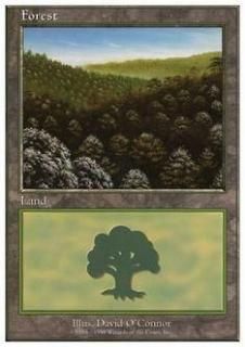 /Forest