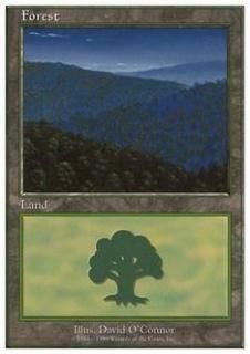 /Forest