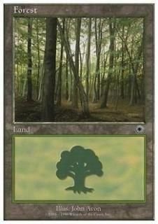 /Forest