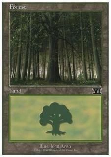 /Forest