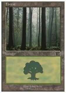 /Forest