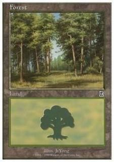 /Forest
