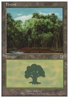 /Forest