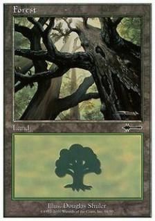 /Forest