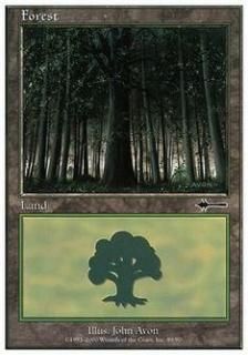 /Forest
