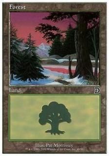 /Forest