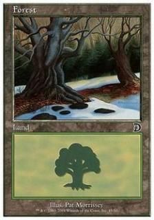 /Forest