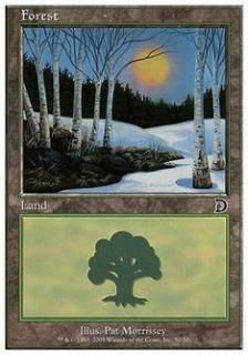 /Forest