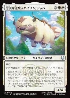 ¤ʶ֥Х󡢥å/Appa, Loyal Sky Bison