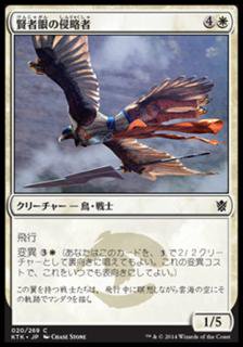 賢者眼の侵略者/Sage-Eye Harrier