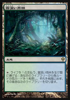 霧深い雨林/Misty Rainforest